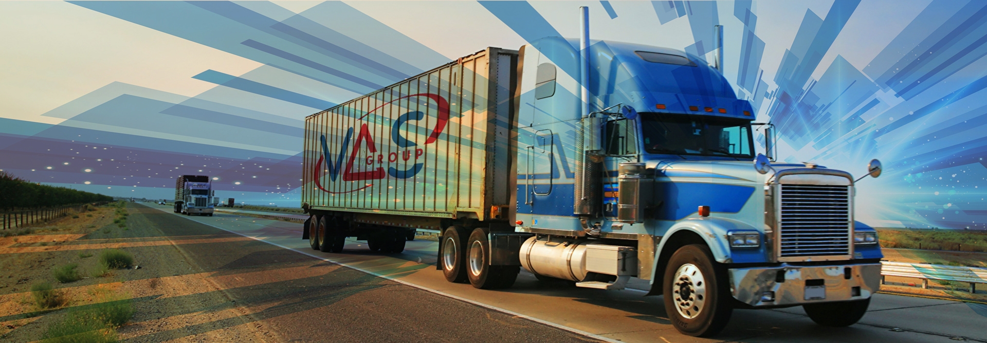 Import and distribution