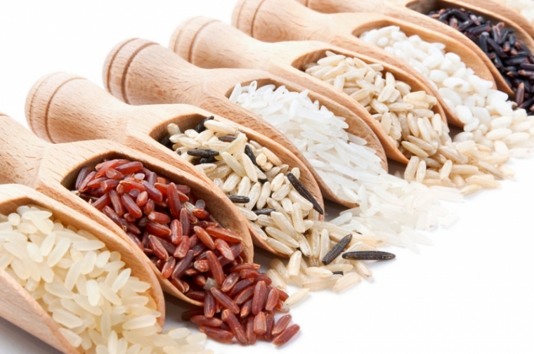 What are the types and characteristics of rice?